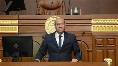 النائب عمرو عكاشة يقترح اعفاء مستلزمات الإنتاج صديقة البيئة المستوردة من الجمارك