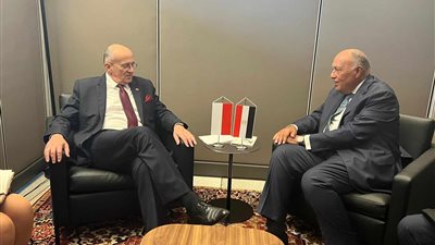 وزير الخارجية يبحث مع نظيره البولندي تعزيز أوجه العلاقات الثنائية
