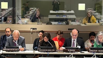 القضايا العربية على طاولة الأمم المتحدة.. 