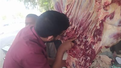  حملات مكثفة على الأسواق وتحرير 42 محضرًا باسيوطخلال حملات تموينية