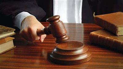 تأجيل محاكمة 14 متهمًا في خلية المطرية 