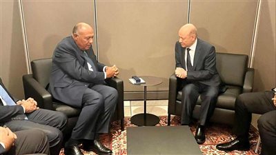 وزير الخارجية يلتقي رئيس مجلس القيادة الرئاسي اليمني.. تفاصيل