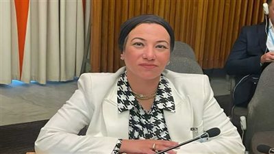 فؤاد: تفعيل صندوق الخسائر من أولويات الدول الأكثر تضررًا من التغيرات المناخية