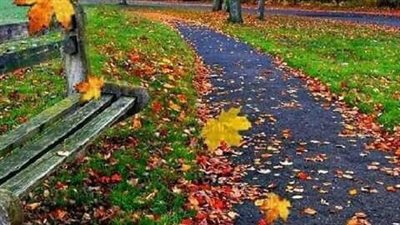 بدأ اليوم.. سمات فصل الخريف 