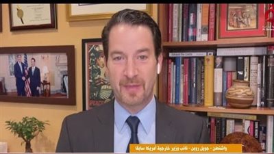 مساعد وزير الخارجية الأمريكي السابق: نحن الآن في موسم مزعج  