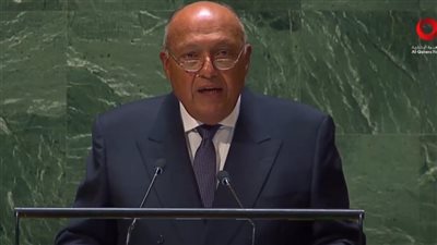 سامح شكري في مجلس الأمن: 