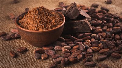 الكاكاو يخفض مستويات الكولسترول السيئ.. طبيب يوضح