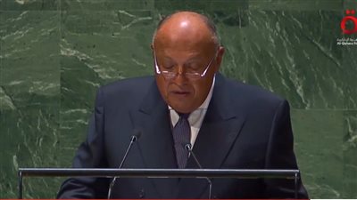 وزير الخارجية: 