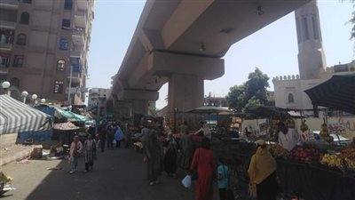 ننشر أسعار الفاكهة والخضراوات بأسواق قنا 