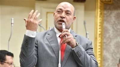 برلماني يثمن الموقف الموحد للمؤسسات الدينية الرافض للإساءة للسيد المسيح