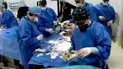 للمرة الثانية.. عملية لزراعة قلب خنزير معدل وراثيًا في جسم إنسان (شاهد) 