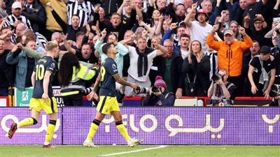 نيوكاسل يهين شيفيلد بثمانية أهداف في الدوري الإنجليزي
