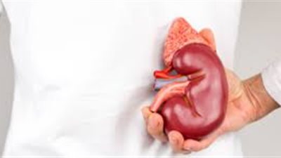 ماهى متلازمة القلب المكسور.. طبيب يكشف