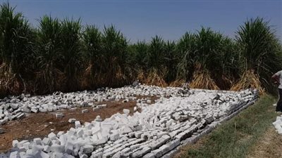 حملة لإزالة حالات تعدٍ على الأراضى الزراعية فى أبو تشت 