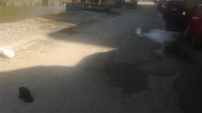 طقس حار بالفيوم وارتفاع درجة الحرارة إلى 36 درجة مئوية