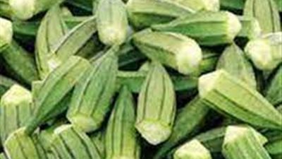 البامية بــ 45 جنيهًا .. تعرف على أسعار الخضراوات وبالمنيا 