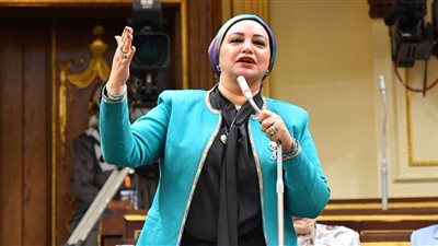 القوى العاملة بالنواب تثمن التعاون بين الداخلية والتضامن لدمج المفرج عنهم بسوق العمل