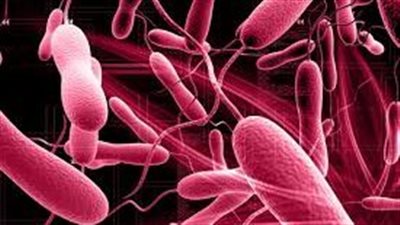 الكوليرا تثير الرعب بالعالم.. الأعراض وطرق الوقاية 