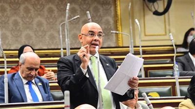 النائب عمرو هندي: الهيئة الوطنية تدير ملف الانتخابات بشفافية