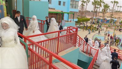 كمّل فرحتها.. مبادرة إنسانية لدعم زواج اليتيمات في الشرقية