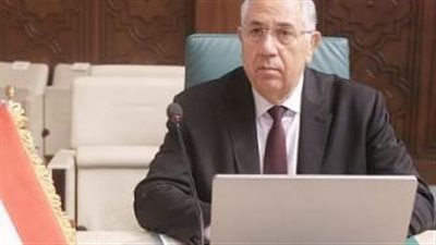 القصير: مصر تسعى مع أشقائها العرب لتحقيق قدر كبير من التكامل