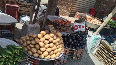 الطماطم ب 10 جنية ننشر اسعار الخضراوات والفاكهة بقنا اليوم 