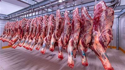 أسعار اللحوم الحمراء اليوم الأربعاء من المزرعة