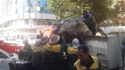 رفع كفاءة النظافة بمحيط مدرسة بالدقي وإزالة حواجز حديدية بشوارع العمرانية