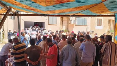 تزايد إقبال المواطنين على مكاتب الشهر العقاري بجنوب سيناء