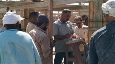 مديرية العمل بالوادي الجديد تقوم بحصر العمالة غير المنتظمة في أماكن عملهم