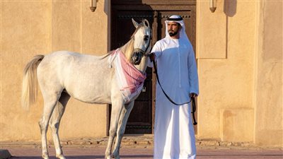 محمد بيشوه يكشف سر نادر بشأن ركوب الخيل