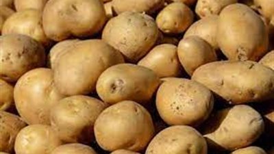  شعبة الخضار والفاكهة  تكشف عن أزمة جديدة قادمة بشأن البطاطس (فيديو)