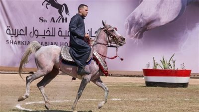 انطلاق مسابقات تراث وأدب الخيل بأرض الفروسية في الشرقية