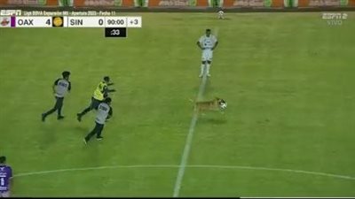 راوغ اللاعبين وأخذ الكورة من الحارس.. مشهد طريف من كلب (فيديو)