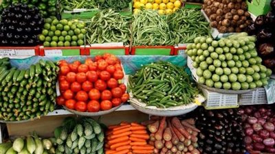 استقرار أسعار الفاكهة والخضروات اليوم السبت بأسواق الفيوم 