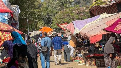 أسعار الخضار والفاكهة والفراخ اليوم السبت في الفيوم