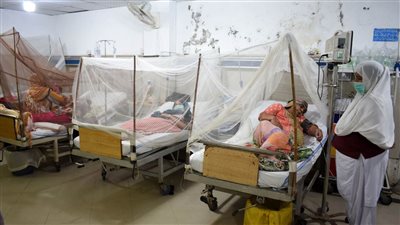 الصحة العالمية: حمى الضنك ستهدد أمريكا وجنوب أوروبا وأفريقيا 