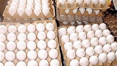 استقرار أسعار الفراخ والبيض بـ أسواق أسيوط