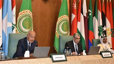 أبو الغيط: إطلاق السوق العربية المشتركة للكهرباء خطوة مهمة