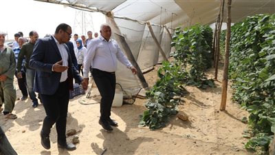محافظ الوادي الجديد يتفقد مشروعي الصوب الزراعية وإنتاج الحرير بالخارجة