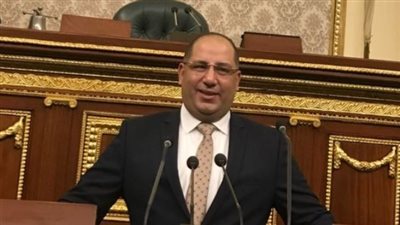 برلماني: توجيهات السيسي بتحقيق الأمن الغذائي تهدف إلى بناء القدرة الشاملة للدولة