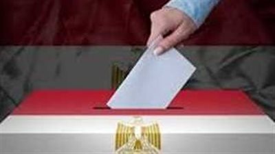 السن القانوني للتصويت في الانتخابات الرئاسية 2024