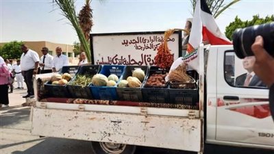 محافظ الوادي الجديد يفتتح أول ممشى باتيناج في مصر
