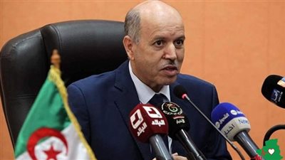 وزير الصحة الجزائري ينفي تفشي حشرات 
