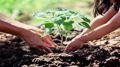  مشاريع اقتصادية تحافظ على البيئة ضمن رؤية مصر 2030