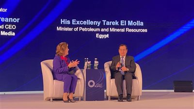  مصر تسعى للتحول إلى مركز إقليمي لمصادر الطاقة النظيفة