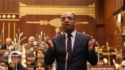 علي مهران يفوز برئاسة لجنة الصحة بمجلس الشيوخ للعام الثاني على التوالي