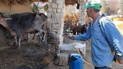 قافلة طبية بيطرية توعوية مجانية بديرب نجم