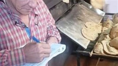 ضبط 16 مخبز مخالف للاشتراطات التموينية بمركز ديرب نجم
