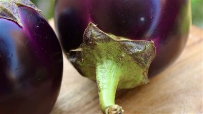الباذنجان يسبب ظهور حصوات المرارة.. خبيرة تغذية توضح